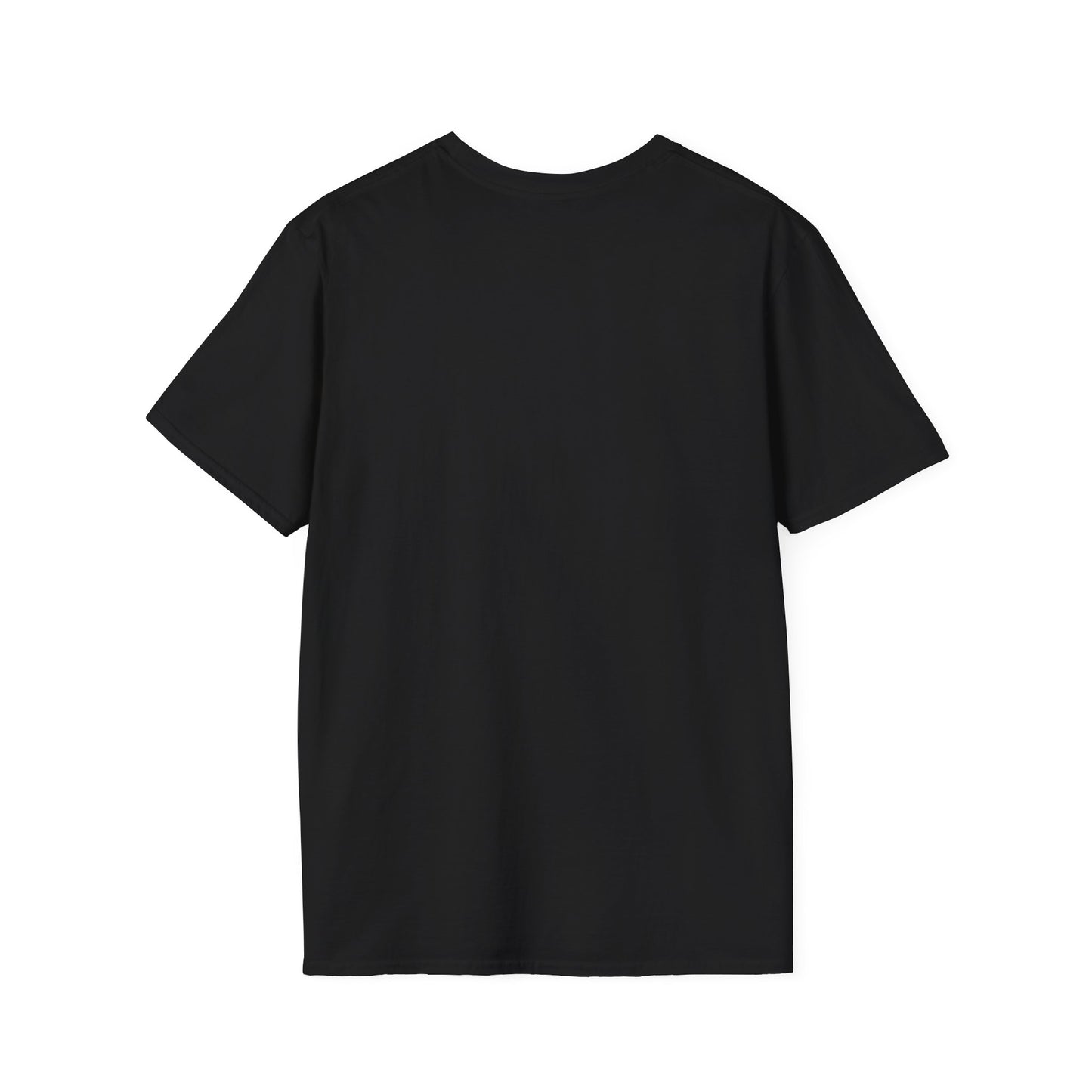 Try Your Best Turtle T-Shirt