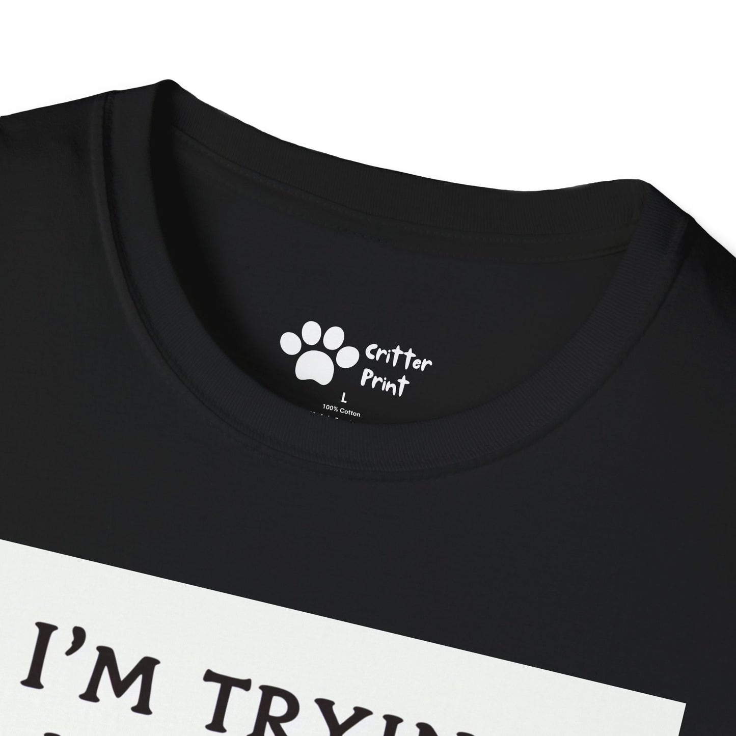 Try Your Best Turtle T-Shirt