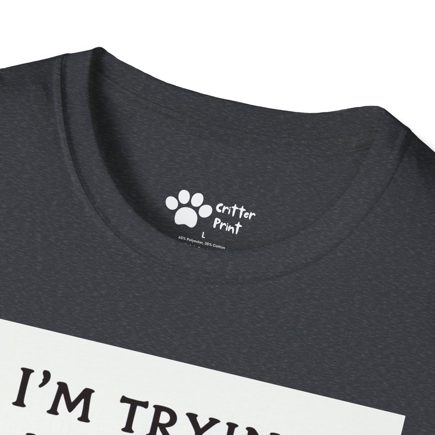 Try Your Best Turtle T-Shirt