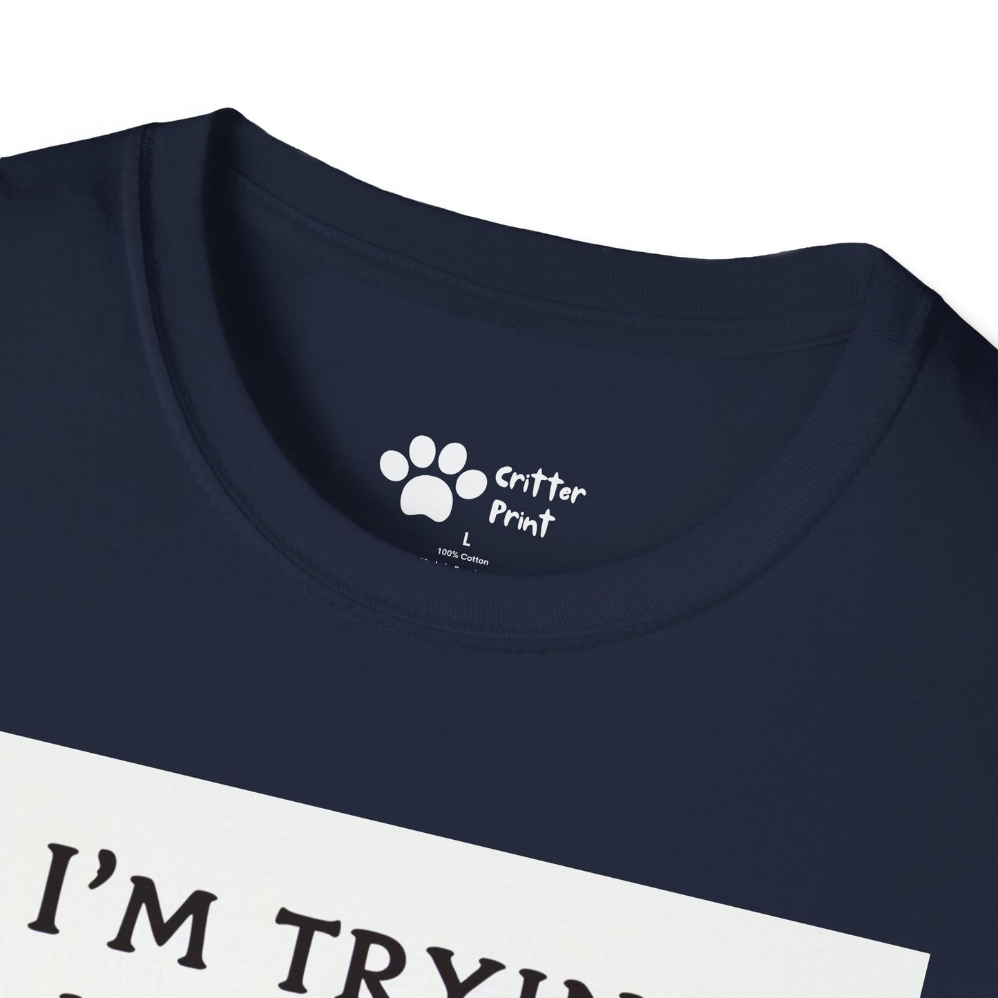 Try Your Best Turtle T-Shirt