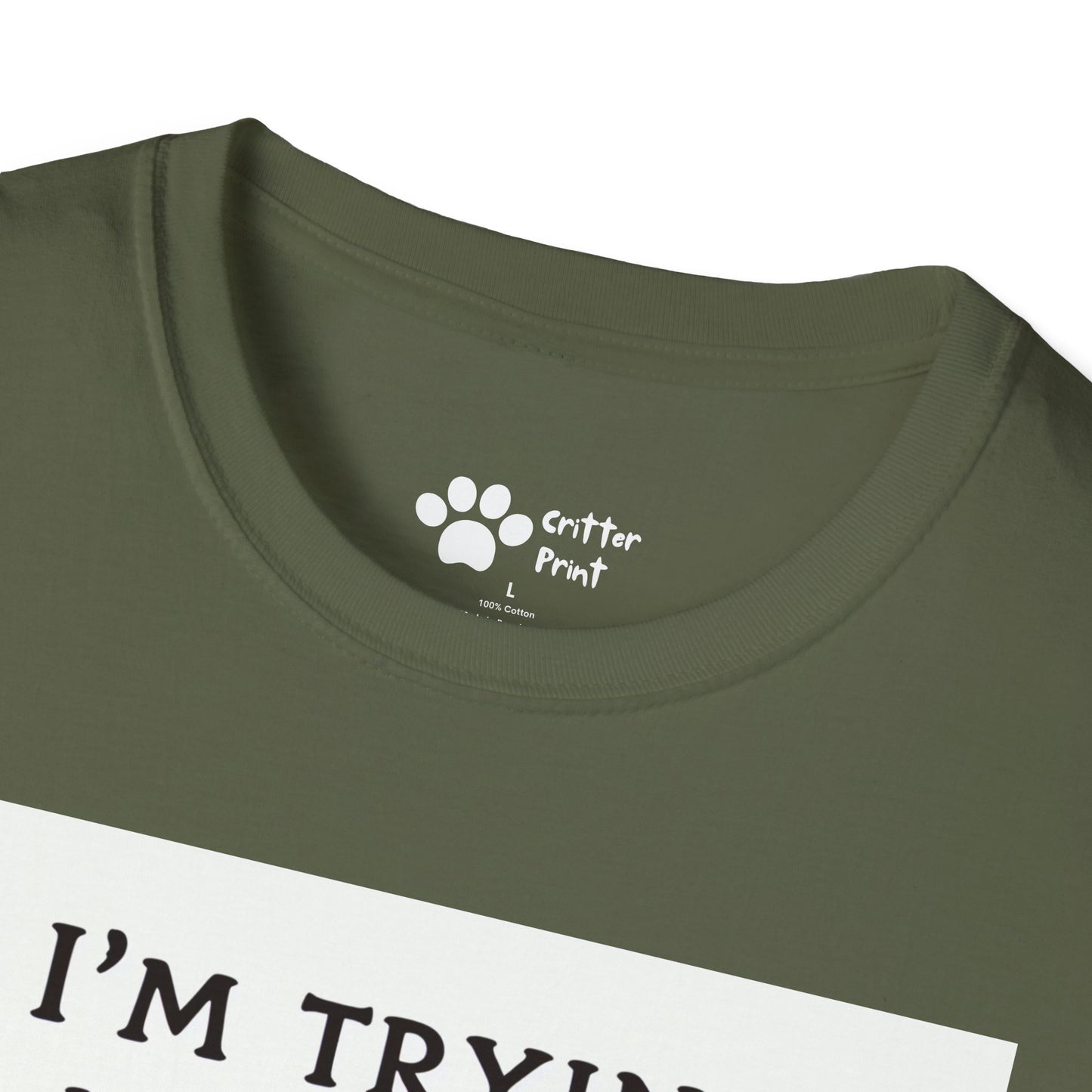Try Your Best Turtle T-Shirt