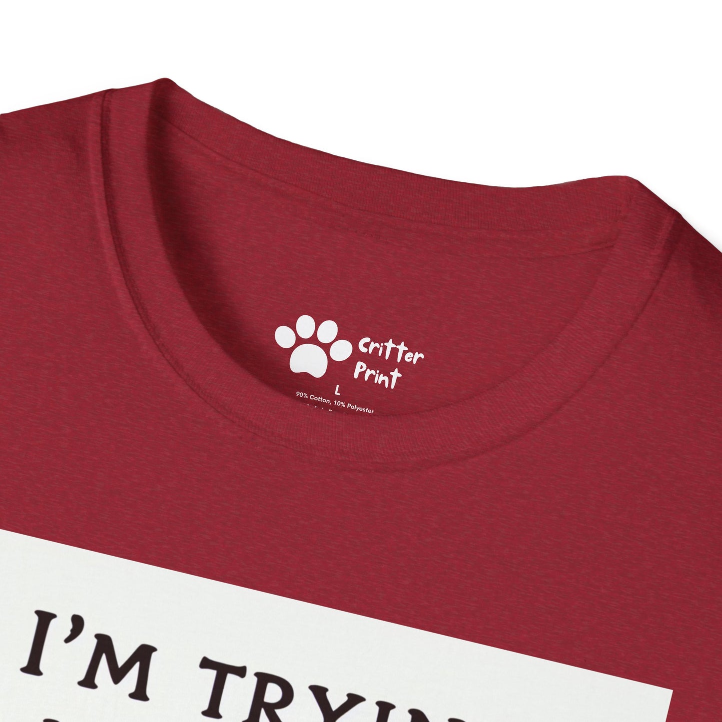 Try Your Best Turtle T-Shirt