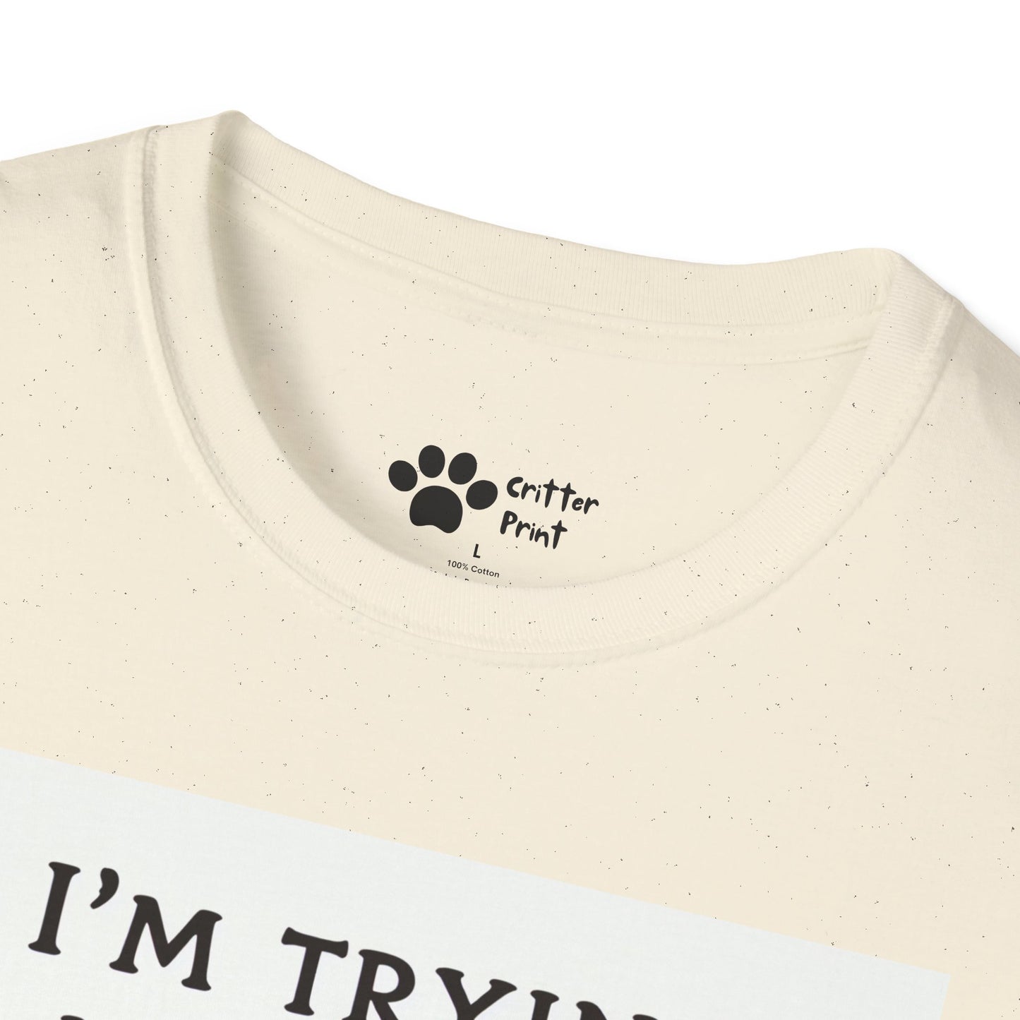 Try Your Best Turtle T-Shirt